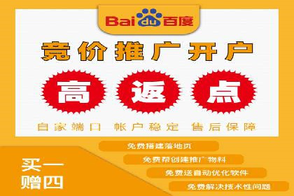 成功案例：SEM竞价托管的策略与效果